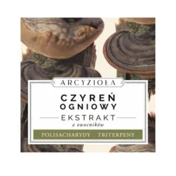 Czyreń ogniowy 50g Arcyzioła Rokitnik i Przyjaciele