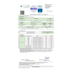 Olejek konopny SatiCann MCT 20% CBD, gwarancja stężenia – 10 ml