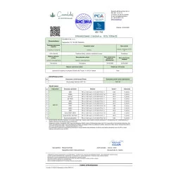 Olejek konopny SatiCann MCT 5% CBD, gwarancja stężenia – 10 ml