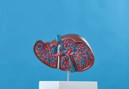 Woda wodorowa a stłuszczenie wątroby (NAFLD) – czy wodór molekularny może wspierać leczenie?