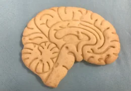 Inhalacja wodorem a udar mózgu i choroba Parkinsona