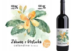 Zakwas z glistnika według Bołotowa: właściwości, działanie i zastosowanie